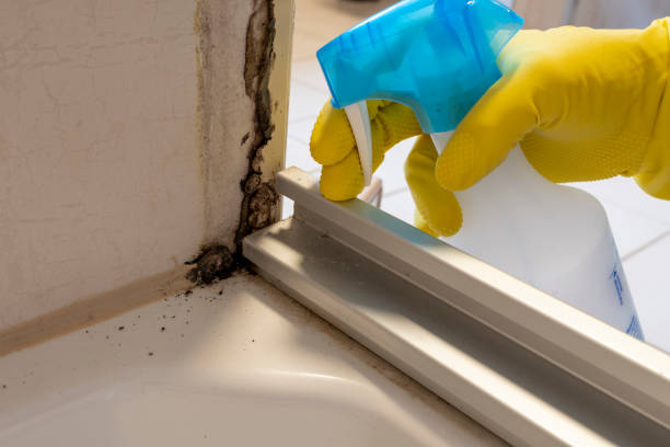 Best Post-Remediation Services in Mitchellville, MD